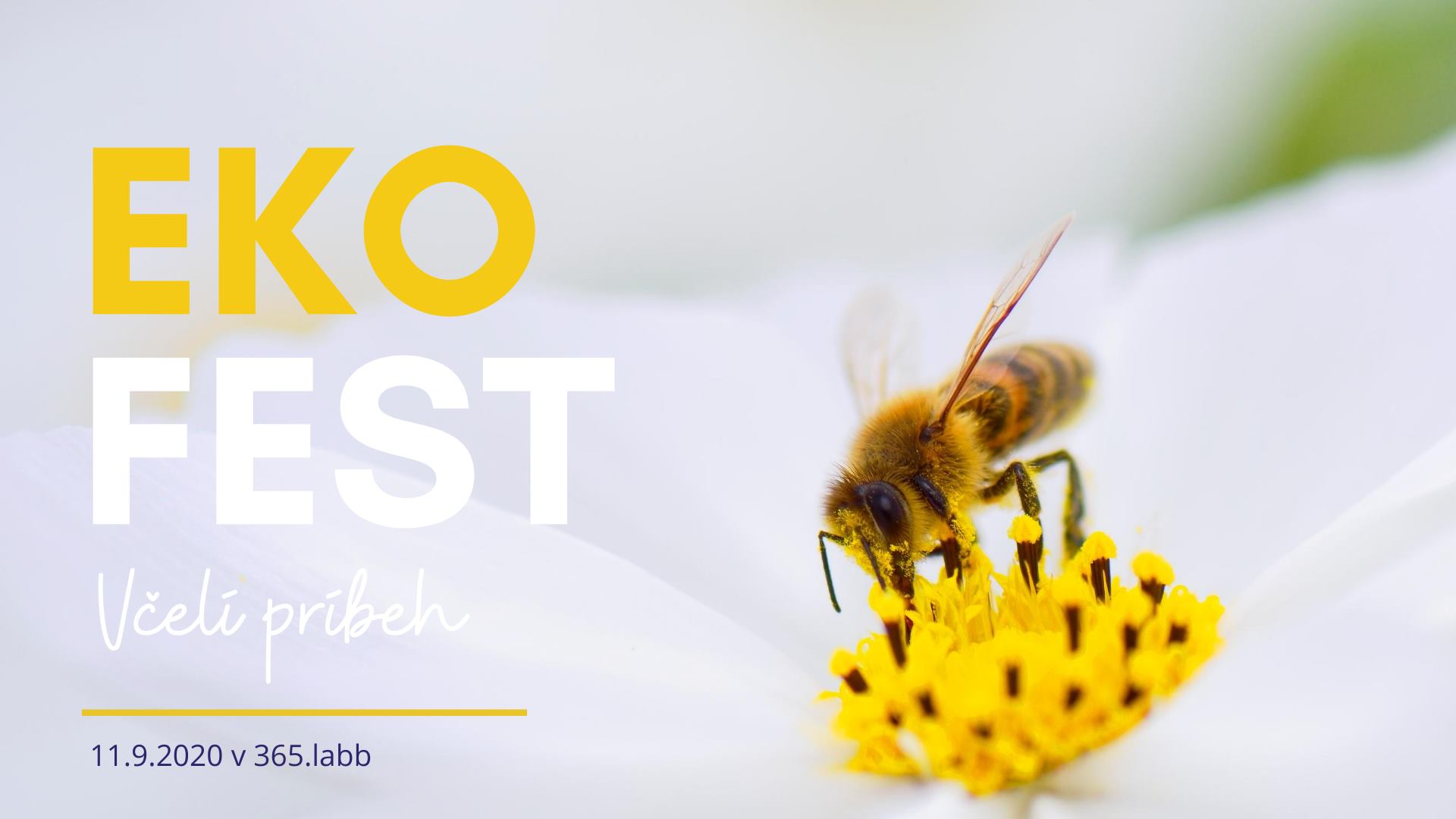 EKO FEST - Včelí príbeh 365.labb