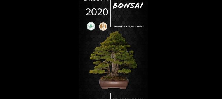 Cassovia Bonsai - výstava bonsajov Botanická Záhrada UPJŠ