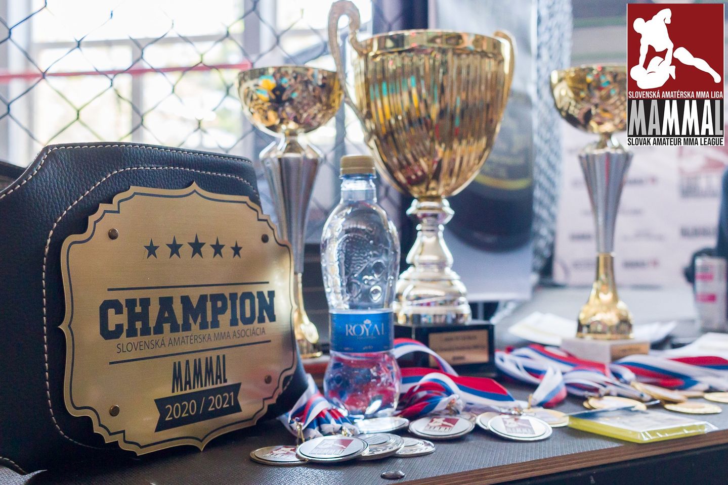 MAMMAL 30 - Majstrovstvá Slovenska MMA