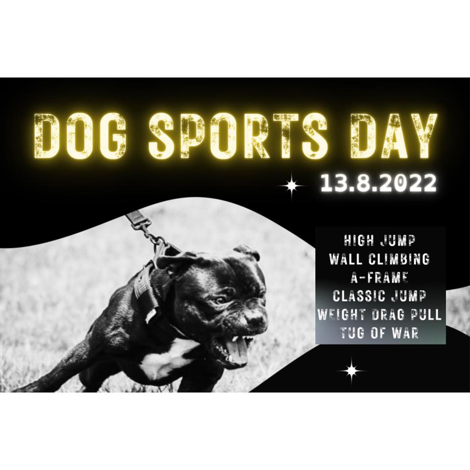 Dog Sports day