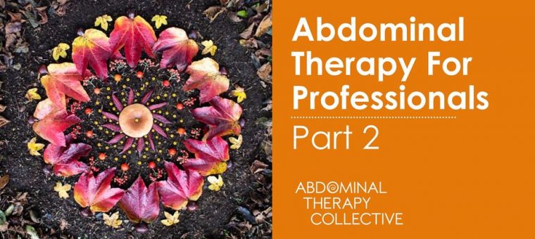 Abdominal Therapy for Professional 2