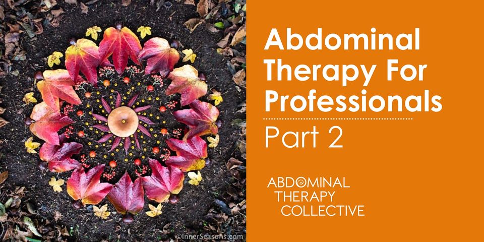 Abdominal Therapy for Professional 2