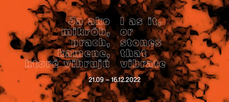 Ja ako mikrób, prach, kamene, ktoré vibrujú / I as it, or stones that vibrate… tranzit.sk