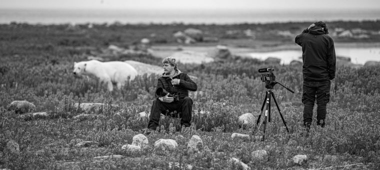 Spoznajte život Martina Greguša s ľadovými medveďmi v Galérii SPP
