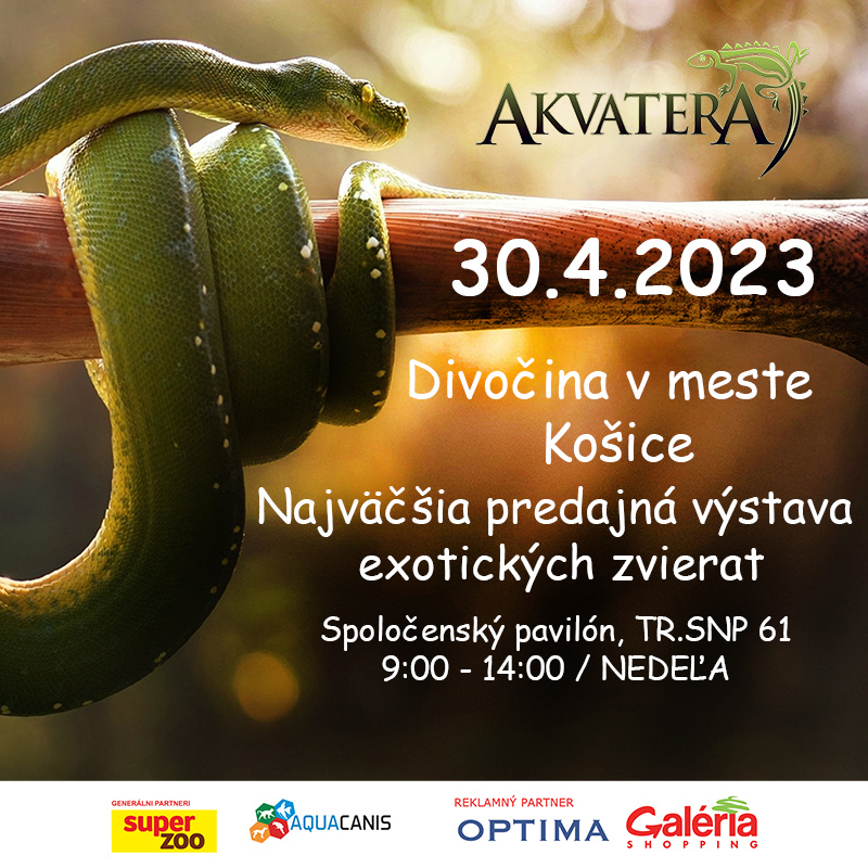 AkvaTera Košice - Divočina v meste Spoločenský pavilón